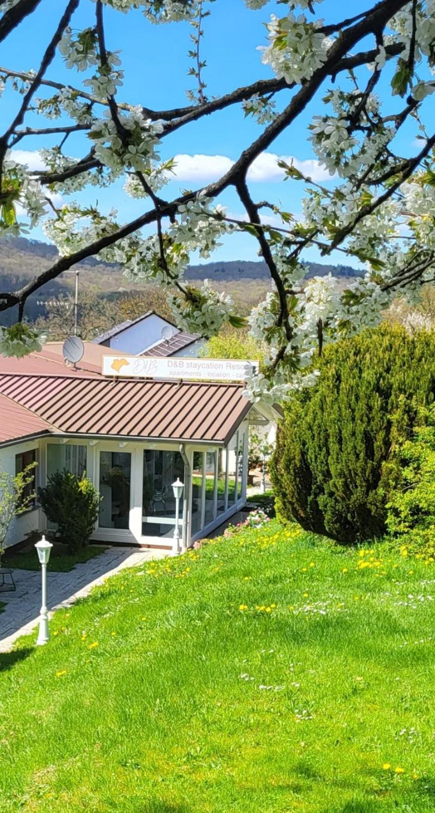 D&B Staycation Ferienpark Niedenstein Экстерьер фото